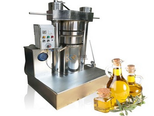 hot selling stainless steel oil press machine in algeria