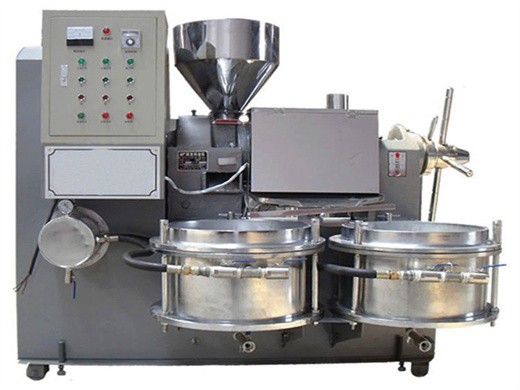 high yield cold press castor oil extracting machine for sale in mexico