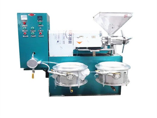 food grade stainless steel soybean hot press machine oil in south african