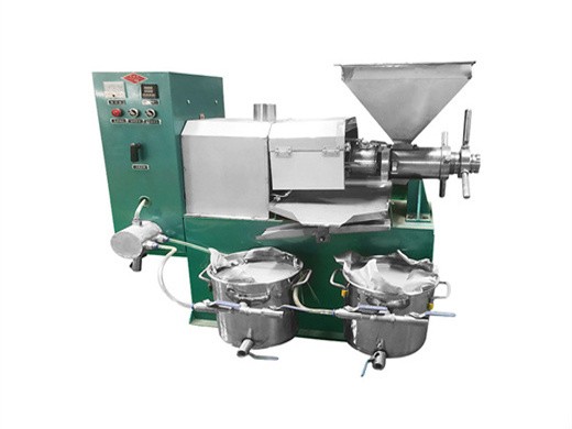 commercial auto oil press machine stainless steel seed in Thailand