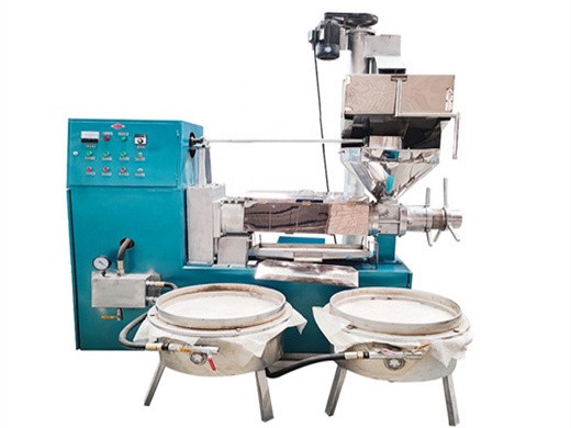 buy high efficiency two screw flax maple seed oil making machine
