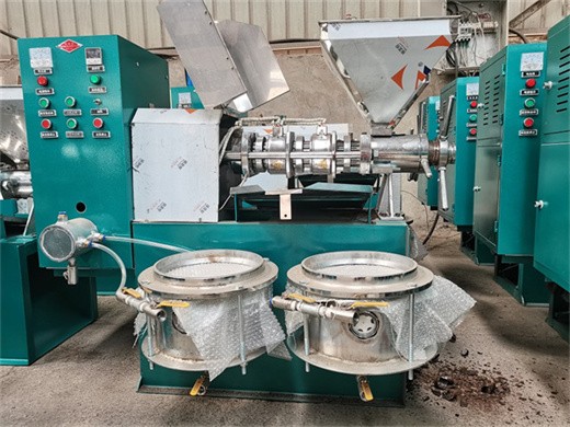 Cameroon seed olive oil extraction hydraulic press machine