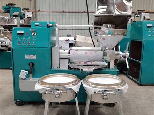 factory price oil equipment walnut oil press machine in Dubai