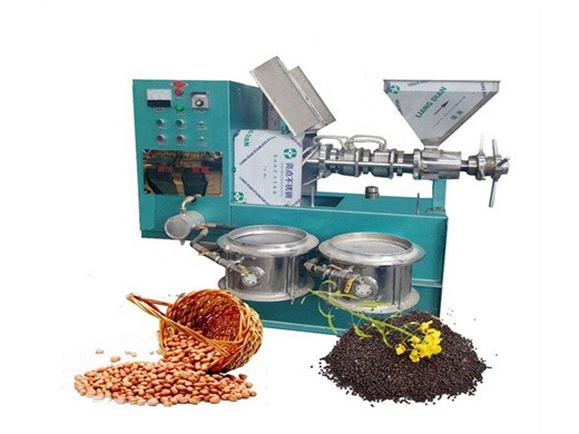 400-500kg/h screw oil presser sunflower seeds canola oil in kyrgyzstan