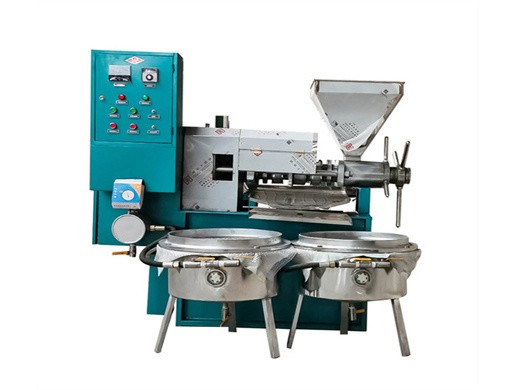 750w oil press machine commercial automatic hot cold in Daman