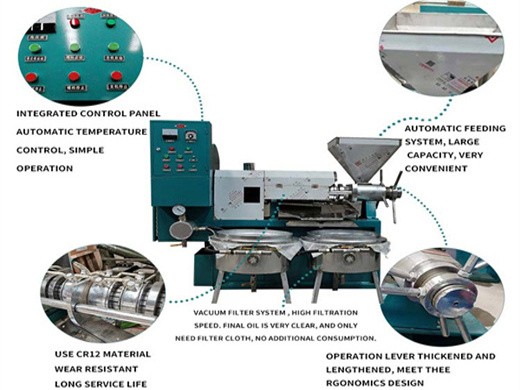 big oil press machine automatic oil press machine in Basra