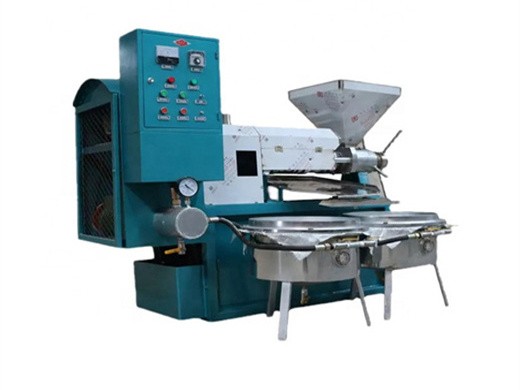 super performance stainless steel soybean oil press machine extruder