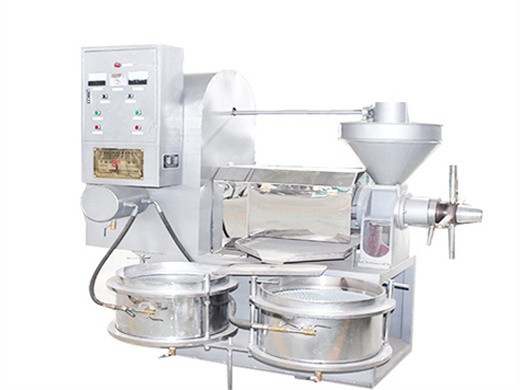 20kg/h automatic oil press machine stainless steel cold press