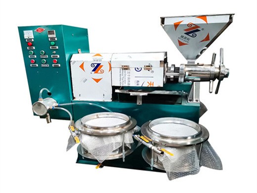 oil press machine industrial use large shea nut oil extraction machine