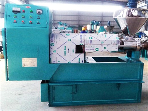 hot sale automatic large screw oil press machine in south africans