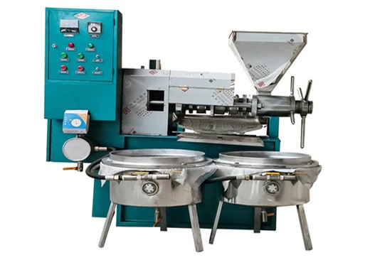 high oil yiled camellia spiral oil press machine in malaysias
