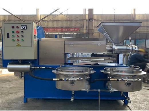 screw peanut oil press machine oil extraction machine in Ethiopia