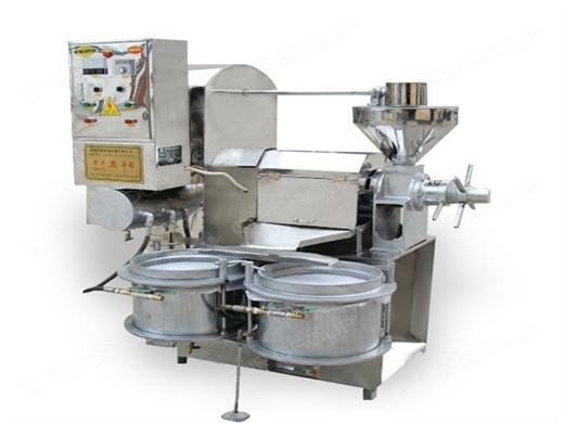 big commercial stainless steel peanut oil press machine in philippines