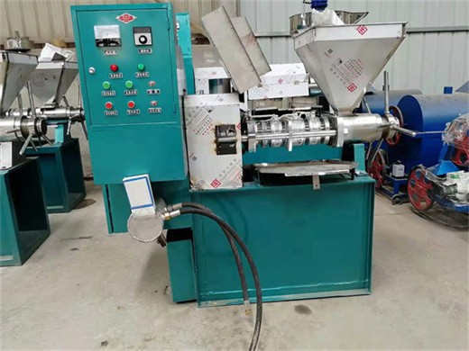 china professional hydraulic oil press machine
