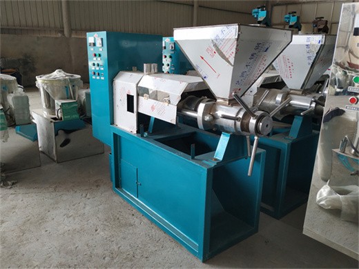 2024 hot sale in china almond oil press machine
