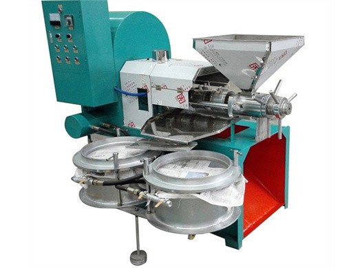 sunflower oil extraction machine pili nut oil press from Armenia