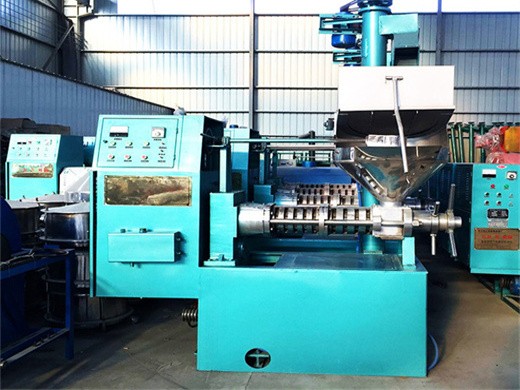 1500w czr109 automatic oil press machine 304 stainless in Dubai