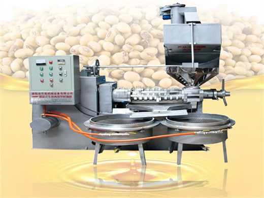 cold hot pressing machine type peanut oil making machine at african