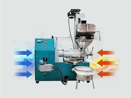 screw oil press machine for soybean and peanut for sale screw oil press machine manufacturer