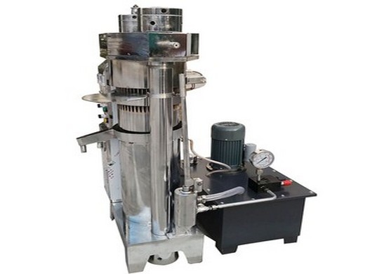 big electric automatic walnut oil press machine hydraulic in Aşgabat