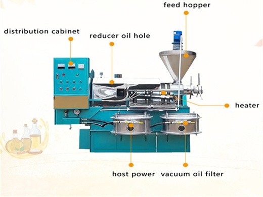 hot selling automatic sunflower seeds oil press machine of algeria