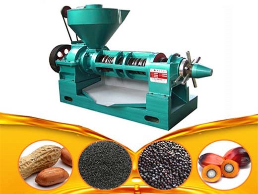 stable worgood quality soybean sesame oil press machine in Erbil