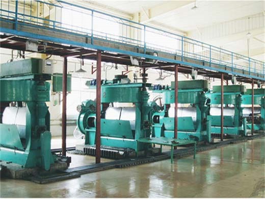 stainless steel plam groundnut cooking oil processing machine of cameroon