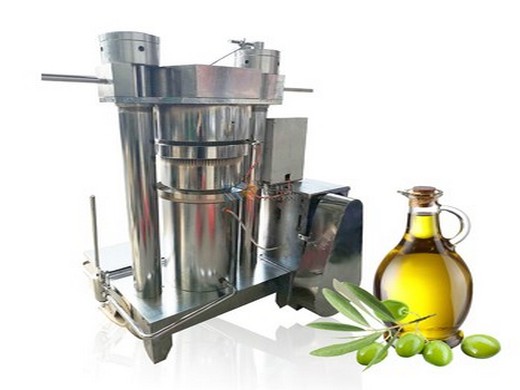 commercial use automatic oil press machine stainless from Russia