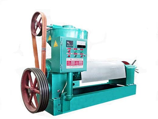 high quality oil press machine soybean oil extraction on namibia