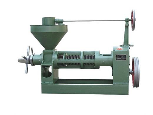 commercial type dl-zyj06 automatic peanut oil press machine in Sulaymaniyah