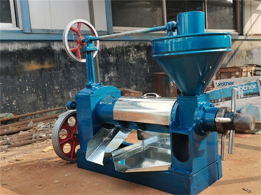 energy saving sunflower oil extraction machine in kenya