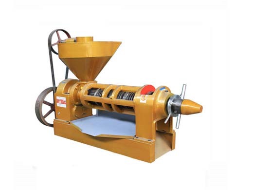 dingsheng 6yz-260 automatic shea butter oil extraction oil in Doha