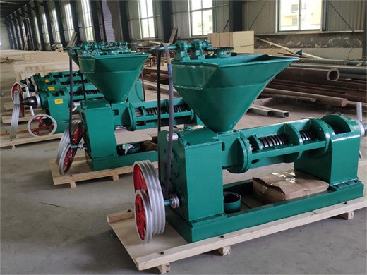 Egypt oil seed press expeller china oil seed press