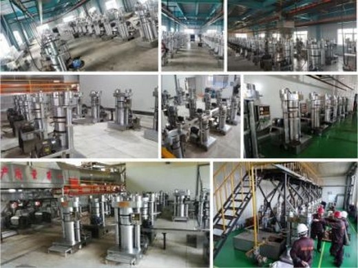 coconut oil processing machine at rs 225000/piece in india