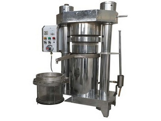 2024 new type potato de oiling machine in kazakhstan