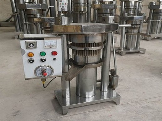 Belgium small-scale commercial fully automatic oil press