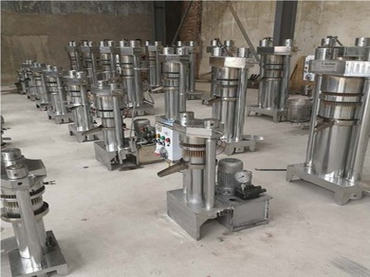 450w motor power stainless steel peanut oil press machine hj p06s