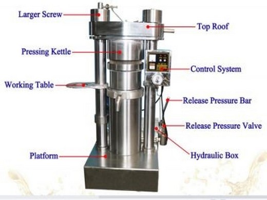 stainless steel small scale cold press oil press machine in Cəlilabad