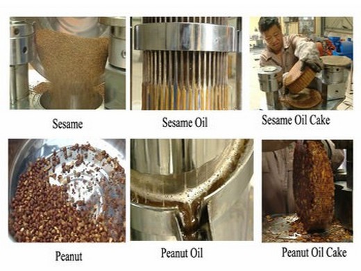 welcome check cooking soybean oil making machine in egypt