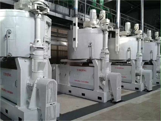 Russia vegetable walnut sunflower oil press production