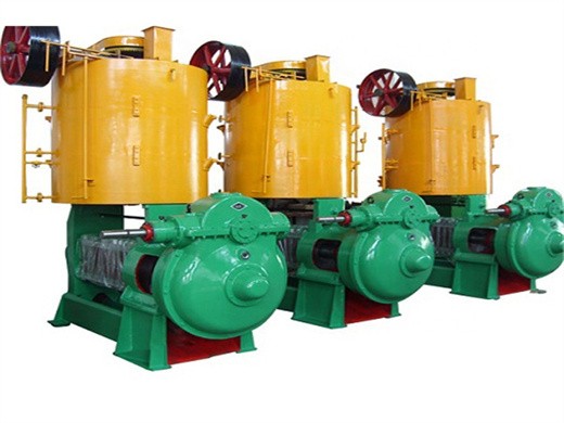 automatic temperature adjustable commercialused big oil press