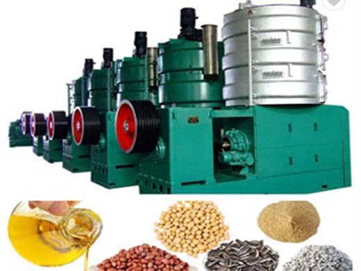automatic oil press machine food grade stainless steel in Ecuador