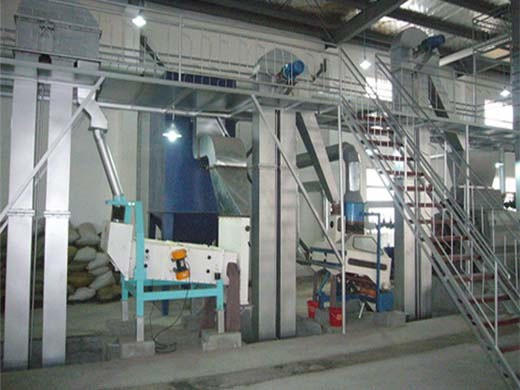 fryer oil filtration machine  vito blue seal filtamax in Rwanda