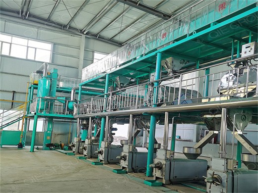 small industry oil extraction machinery press machine in indonesia