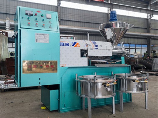 Kenya automatic cold oil filter press machine