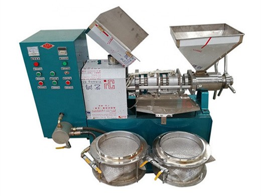 screw oil expeller hot sale oil seed press machine for making