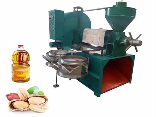 walnut oil press machine  oil extraction machine hydraulic in Erbil