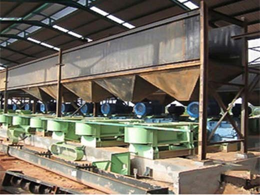 big palm fruit oil press production line and crude palm in indonesia