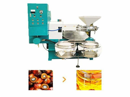 refined palm oil press machine from cameroon energy environment