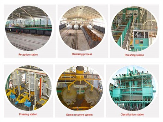 complete set palm oil production machine in indonesia